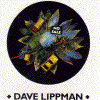 Dave Lippman - No Sale